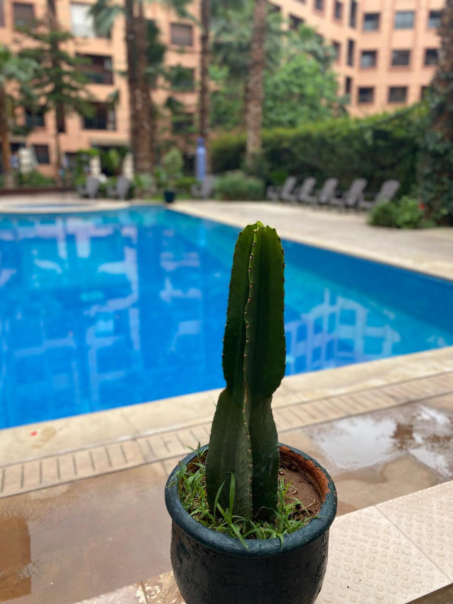 Residence Caprice Palace Hivernage Μαρακές Εξωτερικό φωτογραφία
